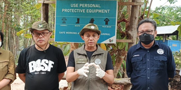 Menhut Himbau Waspada Kebakaran Hutan Walau Titik Panas Menurun