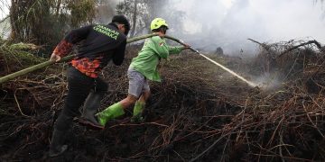 Kebakaran Hutan Sebabkan 50.891 Kasus ISPA dalam Dua Bulan
