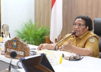Wamendagri Dorong 26 Pemda Papua Realisasikan Pencairan Otsus Tahap II
