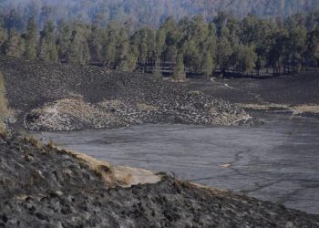 Karhutla Gunung Semeru Padam Hanguskan 3072 Hektare Lahan