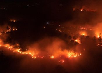Kebakaran Kawasan Gunung Ijen Meluas di Area Cagar Alam