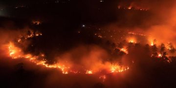Kebakaran Kawasan Gunung Ijen Meluas di Area Cagar Alam