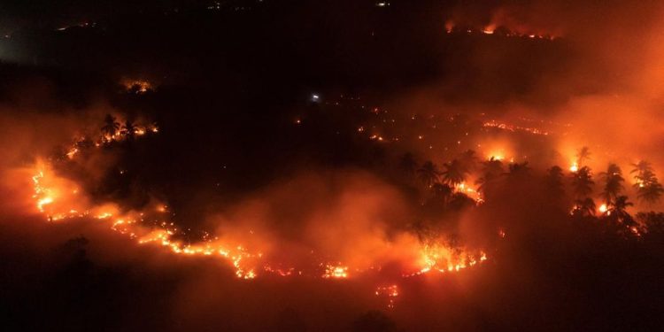 Kebakaran Kawasan Gunung Ijen Meluas di Area Cagar Alam