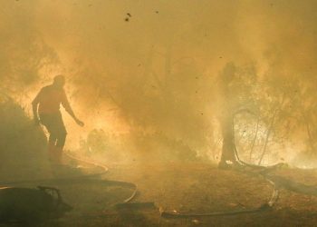 Karhutla Gunung Merapi dan TWA Kawah Ijen Terbakar Seluas 20 Hektare