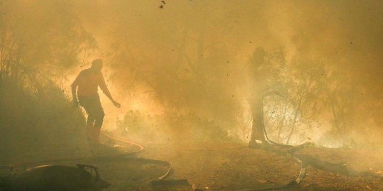 Karhutla Gunung Merapi dan TWA Kawah Ijen Terbakar Seluas 20 Hektare