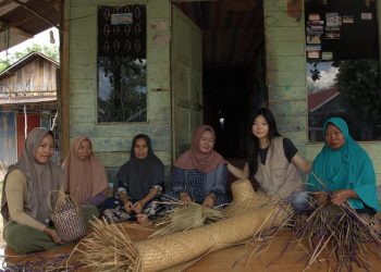 Purun Menjadi Organizer Teknologi, Inovasi Ramah Lingkungan Selamatkan Gambut Kalimantan