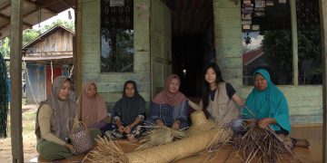 Purun Menjadi Organizer Teknologi, Inovasi Ramah Lingkungan Selamatkan Gambut Kalimantan