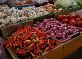 Harga Cabai Rawit Merah Rp 94.700 per Kg