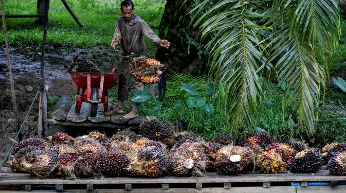 Strategi Bisnis Perkebunan Dibagikan kepada Mahasiswa oleh BPDP