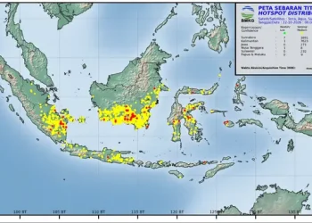 Sebaran Titik Api Kebakaran Hutan dan Lahan di 6 Provinsi Hari Ini