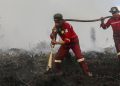 Update Hotspot Kebakaran Hutan Kalteng Tertinggi Saat Ini