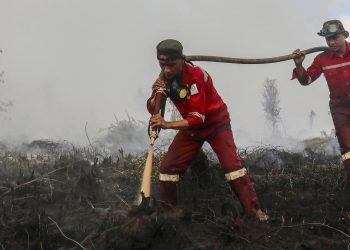 Update Hotspot Kebakaran Hutan Kalteng Tertinggi Saat Ini