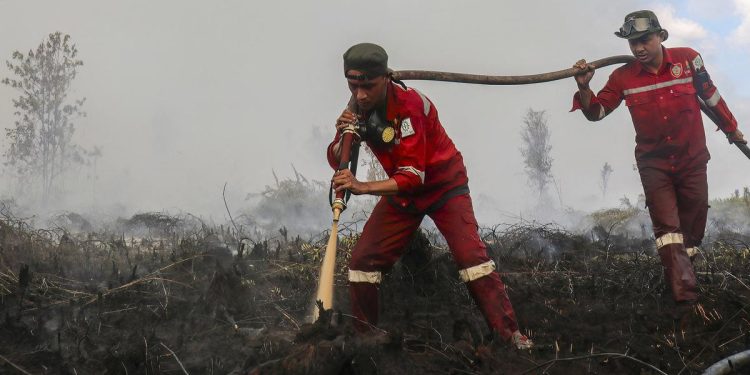 Update Hotspot Kebakaran Hutan Kalteng Tertinggi Saat Ini