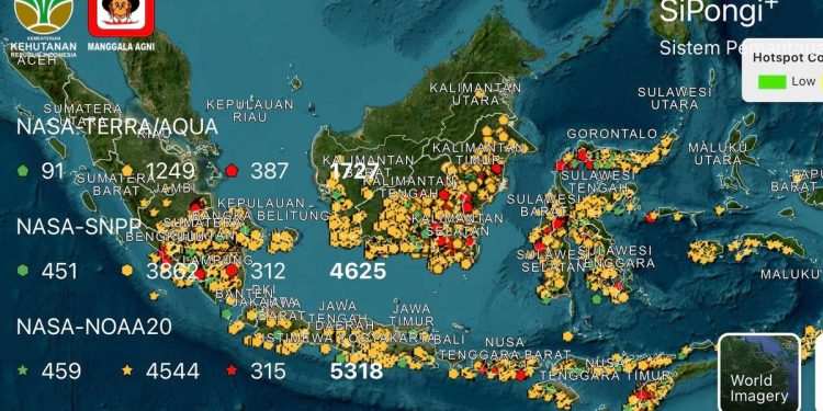 Update Sebaran Hotspot Kebakaran Hutan Kalimantan Tengah dan Sumatera Selatan
