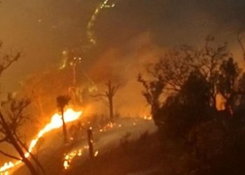 Polri Tetapkan 245 Tersangka Karhutla dengan Luas Lahan Terbakar 5.859 Hektare