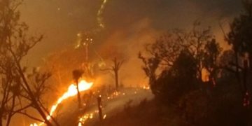 Polri Tetapkan 245 Tersangka Karhutla dengan Luas Lahan Terbakar 5.859 Hektare
