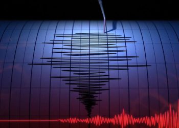 Gempa M6,0 di Papua Nugini Terasa Hingga Merauke dan Jayapura
