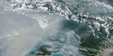 Jumlah Titik Panas Karhutla di Papua Selatan Turun, Masih Terdapat 65 Hotspot