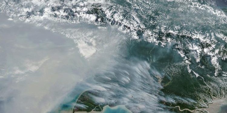 Jumlah Titik Panas Karhutla di Papua Selatan Turun, Masih Terdapat 65 Hotspot