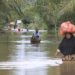Pemkab Aceh Selatan Menetapkan Status Tanggap Darurat akibat Banjir