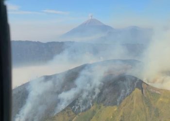 Kebakaran Hutan Melanda Lima Area Gunung di Jawa Timur