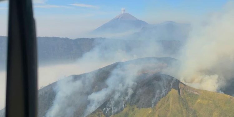 Kebakaran Hutan Melanda Lima Area Gunung di Jawa Timur