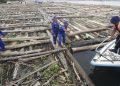 TNI AL Menangkap Dua Kapal yang Selundupkan Delapan Ribu Kayu Ilegal di Pulau Buru