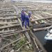 TNI AL Menangkap Dua Kapal yang Selundupkan Delapan Ribu Kayu Ilegal di Pulau Buru