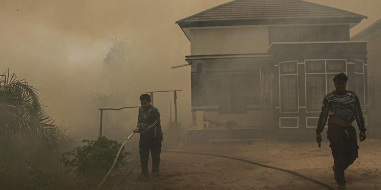 Masyarakat Palangka Raya Tertekan Asap Kebakaran Hutan dan Lahan
