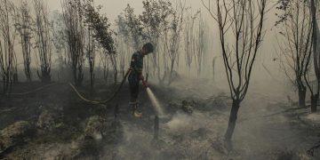 Minim Dukungan, Relawan Karhutla Tanjung Puting Terpaksa Menyerah