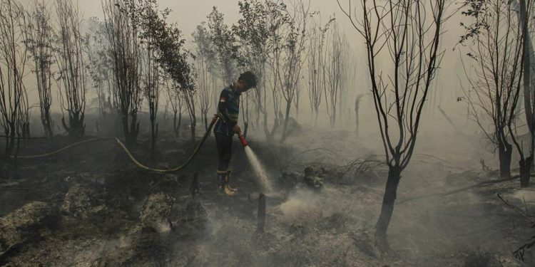 Minim Dukungan, Relawan Karhutla Tanjung Puting Terpaksa Menyerah