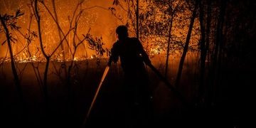 9 Relawan Tewas Dalam Upaya Memadamkan Karhutla
