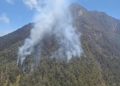 Kebakaran Melanda Gunung Arjuno Lagi