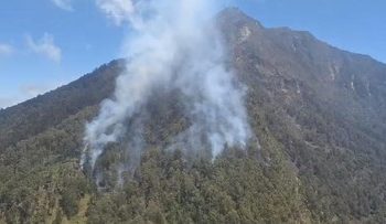 Kebakaran Melanda Gunung Arjuno Lagi