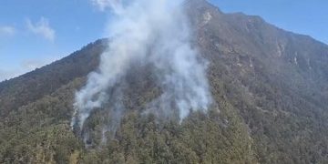 Kebakaran Melanda Gunung Arjuno Lagi