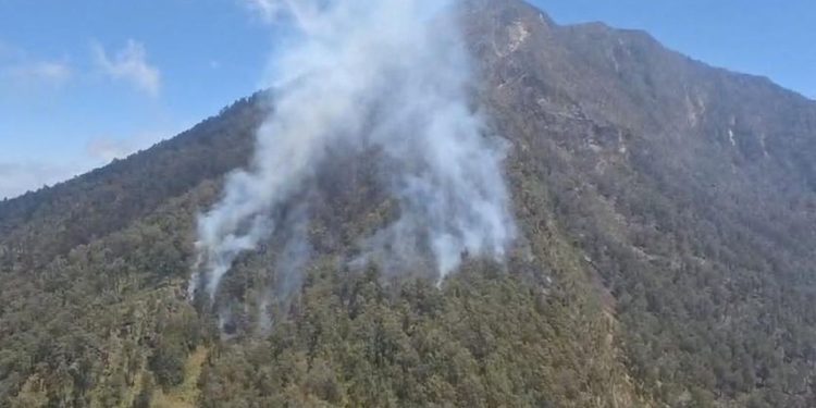 110 Pendaki Arjuno-Welirang Dievakuasi Karena Kebakaran Hutan, Semua Selamat